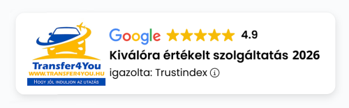 google-review